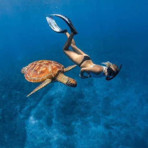 Mermaids best friends
Sea Turtles
Fins
Scuba Swimming, Instagram, Turtles, Morning Swim, Gili Islands, On Instagram