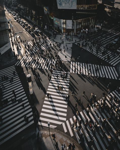 City Photography, Tokyo Photography, Zebra Crossing, Fotografi Kota, Photography Career, Tokyo Street, Busy City, City Street, Urban Landscape