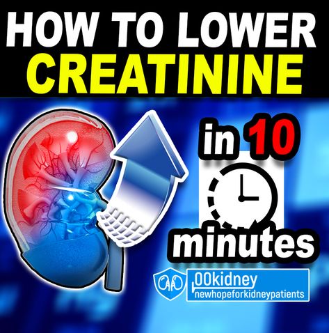 Lower Creatinine Levels, Healthy Kidney Diet, How To Help Nausea, Creatinine Levels, Kidney Friendly Foods, Healthy Kidneys, Kidney Diet, Kidney Function, Holistic Diet