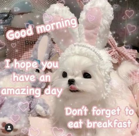 Good Morning Wholesome, Cute Reminders, Good Morning Cutie, Flirting Lines, Cheer Up Quotes, Wholesome Pictures, Memes Cute, Morning Memes, Meaningful Love Quotes