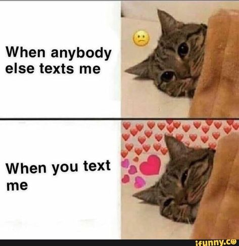 When anybody else texts me – popular memes on the site iFunny.co #textingfunnytexts #memes #when #else #texts #pic Love Memes For Him Boyfriend, Cute Love Messages, Flirty Memes, What I Like About You, Couple Memes, Memes For Him, Crush Memes, Cute Love Memes, Bf Gf