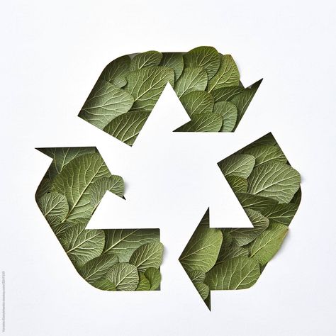 Upcycling, Recycle Sign, Garbage Recycling, Recycle Logo, Sustainability Projects, 동화 삽화, Photo Deco, Green Environment, Sustainable Art