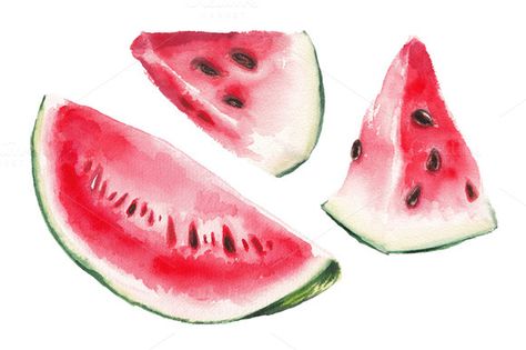 Watercolor watermelon illustration by lenavetka87 on Creative Market Watermelon Art Painting, Watermelon Drawing, Watermelon Clipart, Watermelon Illustration, Watermelon Painting, Watercolor Watermelon, Watercolor Fruits, Fruit Art Drawings, Summer Drawings