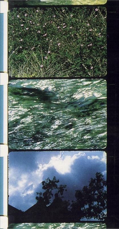 16 Mm Film, Film Wallpaper, Perfect Playlist, Ocean Flowers, 16mm Film, Film Technique, Centre Pompidou, Lukisan Cat Air, Cinematic Photography