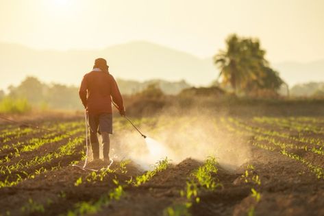 Bordeaux Vineyards, Agriculture Photography, Class Action Lawsuits, Soil Ph, Sustainable Farming, Crop Image, Air Pollution, In Law Suite, Pesticides