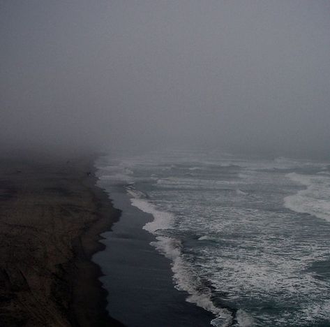 Nature, Dark Academia Moodboard, Dark Beach, Lana Del Rey Songs, Twilight Photos, Ocean Photos, Lighthouse Keeper, Giant Tree, Ocean Vibes