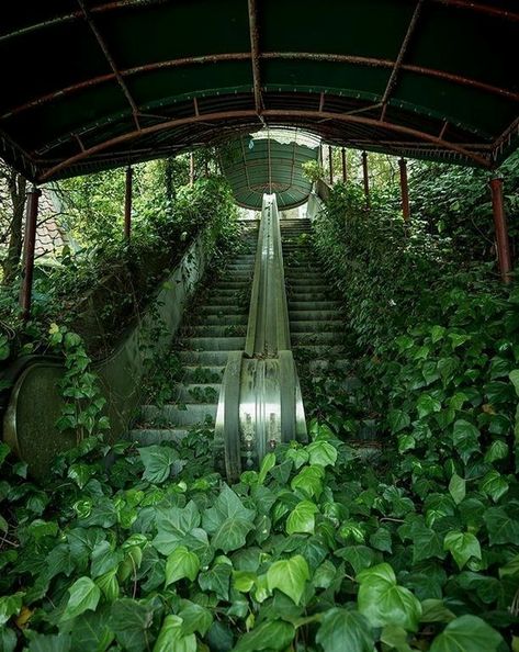 Most beautiful abandoned places grown up plants green urban garden wild city escalators Ghost Towns, Texas Hill Country, Science Fiction Kunst, Abandoned City, Apocalypse Aesthetic, Abandoned Cities, Urban Exploring, Abandoned House, Abandoned Buildings