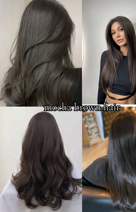 Balayage, Sold Brown Hair Color, Dark Hair Olive Skin Tone, Different Types Of Dark Brown Hair, Dark Brown Hair With Cool Undertones, Cool Tone Brown Hair Dark, Brown Hair Neutral Skin Tone, Midnight Brown Hair, Cool Dark Brown Hair Color Pale Skin