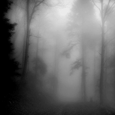 One Dark Window, Dark Window, Dark Windows, Fyodor Dostoevsky, Dark Landscape, Grey Sky, Forgotten Realms, Foggy Forest, Head In The Clouds