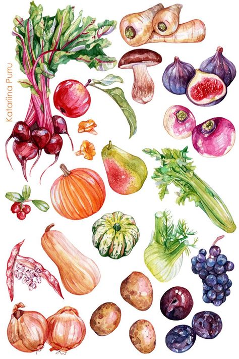 Essen, Vegetable Illustration Art, Fruits And Vegetables Illustration, Still Life Vegetables, Vegetable Poster, Vegetable Bouquet, Vegetable Painting, Vegetable Illustration, Visual Recipes