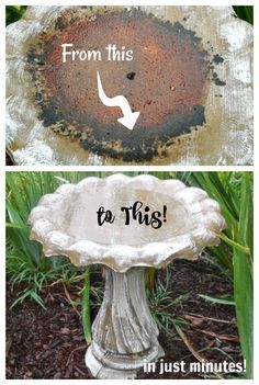 Cement Bird Bath, Backyard Birds Watching, Backyard Birds Sanctuary, Concrete Bird Bath, Bird Fountain, Clean Concrete, Diy Bird Bath, Bird Bath Fountain, Bird Bath Garden