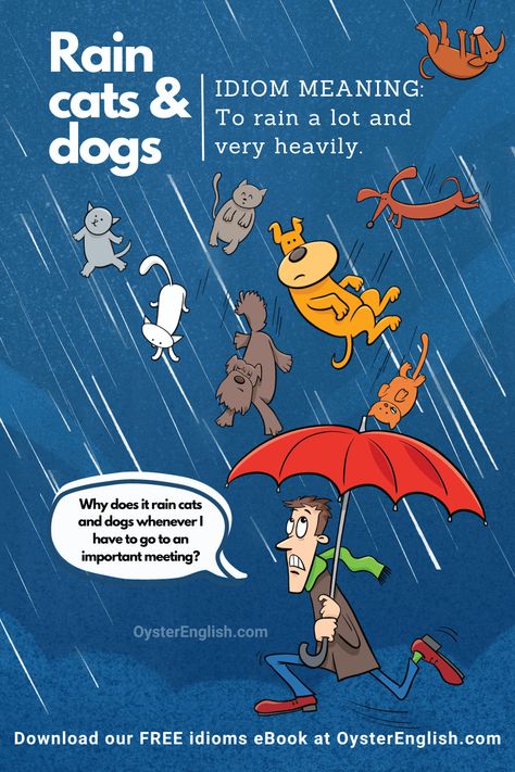 Idiomatic Illustration: Raining Cats and Dogs Raining Cats And Dogs Illustration, Cat Idioms, It's Raining Cats And Dogs, Sentence Examples, Raining Cats And Dogs, Figurative Language, It's Raining, Cats And Dogs, All About Cats