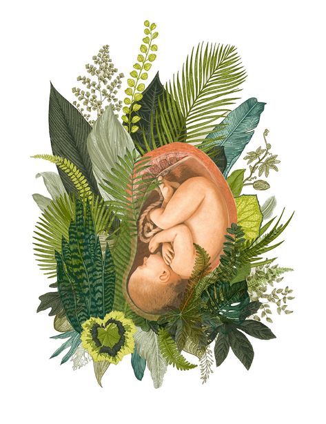 The Language of Birth • By Stepha Lawson. Birth Art, Birth Inspiration, Pregnancy, Feminine Wisdom, Goddess, Baby, Birth, Midwife Art, Pregnancy Art, Baby Art, Botanical Illustration, Baby Shower, Nursery Room, Labor, Labor and Delivery, Womb, Womb Art, Uterus, Prints for Sale, Tropical, Tropical Illustration Belly Painting, Birth Inspiration, 가족 일러스트, Birth Art, Tropical Illustration, Pregnancy Art, Mother Art, Baby Art, Anatomy Art