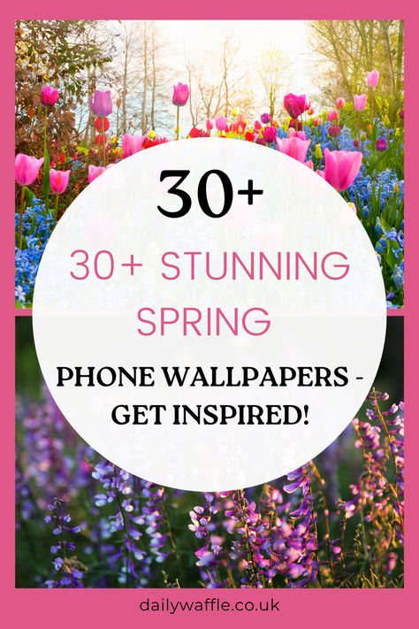 Get ready for spring with these stunning phone wallpapers! 🌸📱 Transform your iPhone with these beautiful spring-inspired backgrounds. From vibrant floral patterns to scenic landscapes, these wallpapers will bring a burst of freshness to your device. Download now and give your phone a colorful makeover! #SpringWallpapers #PhoneWallpapers #WallpapersForiPhone #GetReadyForSpring #DownloadNow Spring Flowers Wallpaper Iphone, Spring Phone Backgrounds, Flowers Wallpaper Iphone, Spring Phone Wallpapers, Walking On Broken Glass, Spring Wallpapers, Spring Flowers Wallpaper, Wallpapers For Your Phone, Capes For Kids