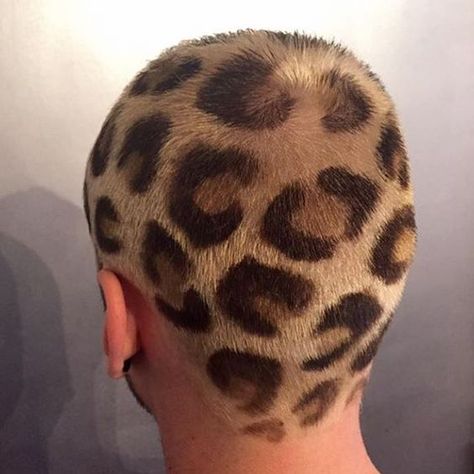 Leopard Print Hair Cheetah Print Hair, Cheetah Hair, Shaved Head Designs, Hair Colour Design, Hair Print, Leopard Print Hair, Shaved Hair Designs, Buzzed Hair, Leopard Hair