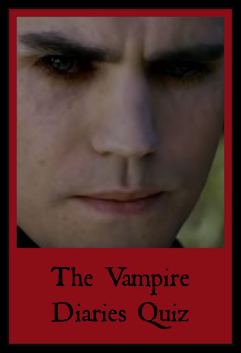 Swoon! Relive the passion and the pain of one of the CW's most popular dramas. Test your Vampire Diaries fandom with this quiz! Vampire Diaries Crafts, Vampire Quiz, Vampire Diaries Quiz, Vampire Diaries Makeup, Vampire Daires, Salvatore Brothers, Vampire Diaries Outfits, Ray Ray, Vampire Diaries Memes