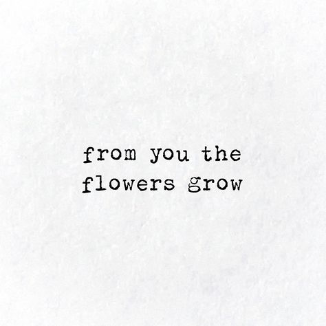 Florence Welch Aesthetic, Florence Lyrics, Autumn Lyrics, Typewriter Aesthetic, Flower Lyrics, Growing Quotes, Phrase Tattoos, Florence Welch, Lyrics Aesthetic