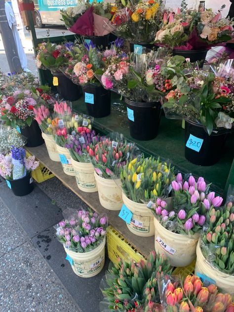 Aesthetic pictures, flower stand, downtown vancouver, tulips, aesthetic flowers, colourful flowers, bouquets Vancouver Picture Ideas, Flower Stand Aesthetic, Downtown Vancouver Aesthetic, Vancouver Canada Aesthetic, Vancouver Aesthetic, Tulips Aesthetic, Flowers Colourful, Desired Reality, Colourful Flowers