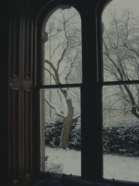 Dark Academia Winter, The Secret History Aesthetic, Gloomy Winter, Henry Winter, Aesthetic Dark Academia, Dark Christmas, Lily Evans, Remus Lupin, Winter Wallpaper