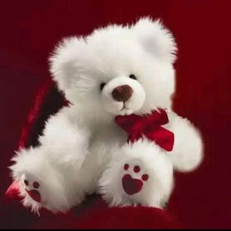 Teddy Day Pic, Happy Teddy Bear Day, Photo Ours, Cute Teddy Bear Pics, Teady Bear, Red Teddy Bear, Valentines Day Teddy Bear, Teddy Bear Hug, Teddy Bear Day