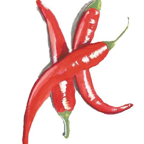 Chili pepper #pepper #chilli #red #gouache #painting #drawing #redbubble  #society6 Pepper Painting, Cayenne Pepper Sauce, Cocktail Gifts, Chili Red, Watercolor Journal, Chilli Pepper, Painted Jars, Illustration Food, Culinary Arts