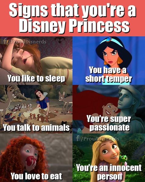 Are you a Disney Princess?  - @prouddisnerds Funny Disney, Funny Disney Princess, Disney Princess Memes, Disney Princess Funny, Disney Theory, Disney Quotes Funny, Prințese Disney, Funny Disney Memes, Funny Disney Jokes