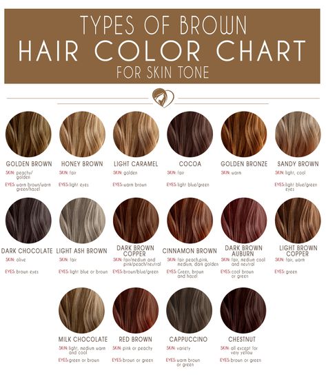 Medium Brown Hair Color Chart #brunette #brownhair  Capuchino  and Chestnut Types Of Brown Hair Color, Types Of Brown Hair, Types Of Brown, Brown Hair Color Chart, Medium Brown Hair Color, Hair Color 2017, Rambut Brunette, Golden Brown Hair, Brown Hair Shades