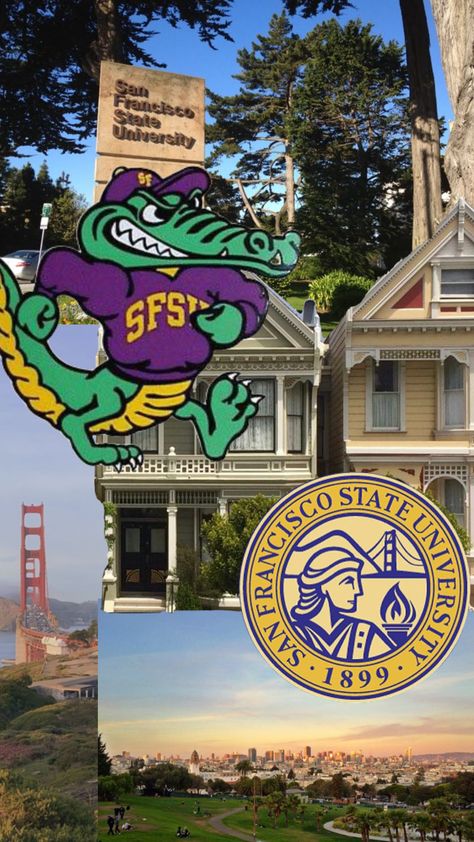 San Francisco State University, University Dorms, Vision Board Images, Dream Vision Board, Year 2, 2024 Vision, Senior Year, State University, Vision Board