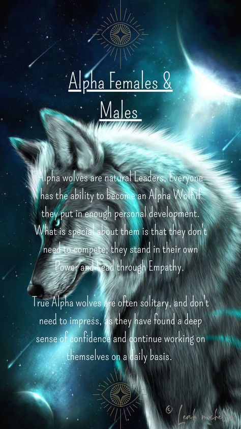 Everyone has the ability to become an Alpha Wolf if they put in enough personal development. Alphas stand in their own Power & lead through Empathy. Wolf Quotes Alpha Female, Female Alpha Wolf, Wolf Personality, Alpha Wolf Tattoo, Alpha Female Wolf, Wolf Meaning, Alpha Quotes, Spirit Animal Wolf, Leah Michelle