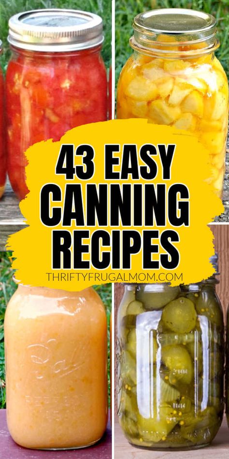 Canning doesn't have to feel overwhelming! These easy recipes will help you confidently can everything from tomatoes to peaches to pickles to jam and so much more. Peach Jam Recipe Canning, Easy Canning Recipes, Canning Fruit Recipes, Canning Pickles Recipe, Canning Tomatoes Recipes, Water Bath Canning Recipes, Diy Canning, Canning Jam Recipes, Preserving Vegetables