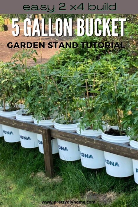 Tired of your 5-gallon bucket garden being messy and disorganized. Build a stand to showcase your plants and save room in your outdoor area. Diy Bucket Garden, Bucket Garden Stand, Bucket Garden Ideas, Bucket Garden, Tomato Planter, Gardening Tricks, Growing Vegetables In Pots, Bucket Gardening, Vegetable Garden Planning