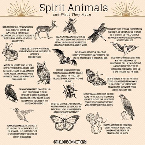 Animals And Their Meanings, Spirit Animal Quotes, Animal Tattoo Meanings, Persian Calligraphy Tattoo, Spirit Animal Tattoo, Spirit Animal Meaning, Tarot Card Reader, Animal Meanings, Animal Tarot