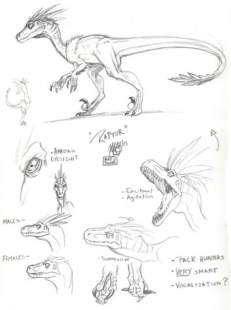 Skull Island Raptor by Matt Frank Dinosaur Pencil, Dino Drawing, Skull Animal, Pencil Drawing Ideas, Dinosaur Sketch, Drawing Skull, Animal Sketch, Dinosaur Drawing, Dragon Sketch