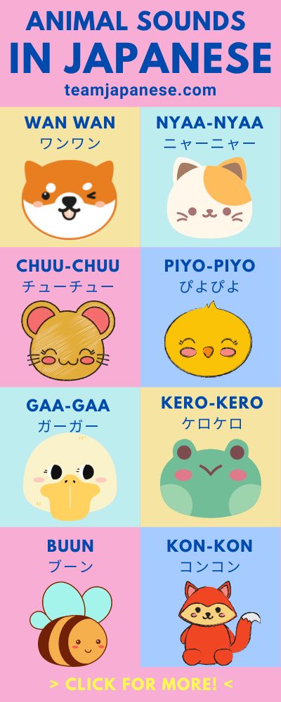 Did you know animals can speak Japanese too? Yes, animal sounds in Japanese are different from animal noises (onomatopoeia) in English. For example, your cute shiba inu says 'wan wan' for 'woof woof'! Here are some popular Japanese animal sounds to learn. Click through to the post for more. Animal In Japanese, Animals In Japan, Cute Words In Japanese, Japanese Cute Words, Cute Japanese Stuff, Animals In Japanese, Cute In Japanese, Words In Japanese, Japanese Onomatopoeia