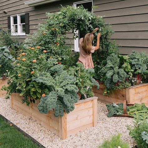 Mixed Brick Patio, Raised Garden Beds With Pea Gravel, French Cottage Garden Landscaping, Planter Box Garden Layout, Small Garden Set Up, Garden Bed With Rocks, Painted Raised Beds, Front Yard Food Garden Ideas, Sitting Area In Garden