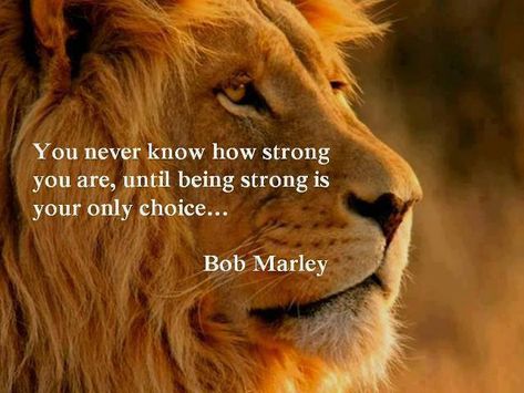 You Don't Know How ‪‎strong‬ You Are Until Being Strong Is Your Only ‪‎choice‬ :: Peace Wall Lion Quotes, Bob Marley Quotes, Good Quotes, Life Quotes Love, Word Up, Intp, Intj, Infp, Infj