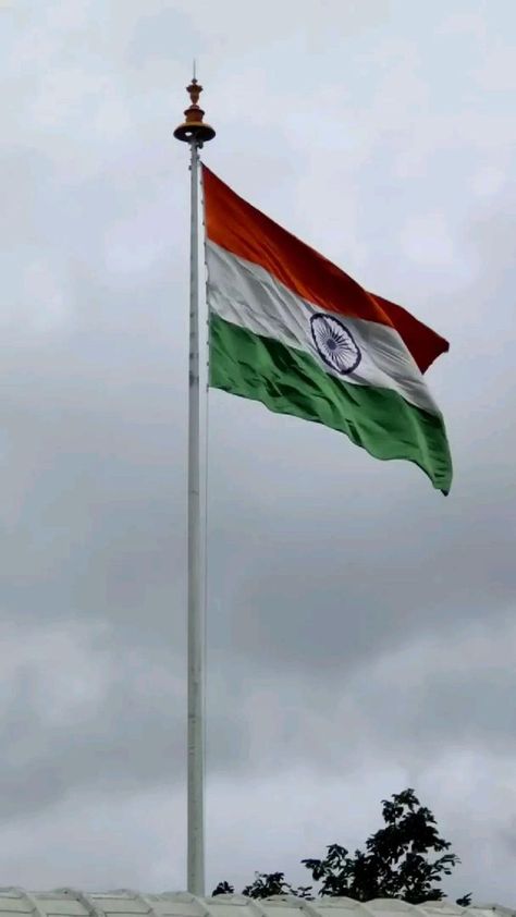 jay hind in 2022 | Indian flag wallpaper, Republic day, Friendship day images Indepence Day Video, A To Z Name Tiranga Wallpaper, Independence Day Videos, Happy Republic Day Video, Tiranga Background, Tiranga Wallpaper, Tiranga Photo, Indian Tiranga, Independence Day Video