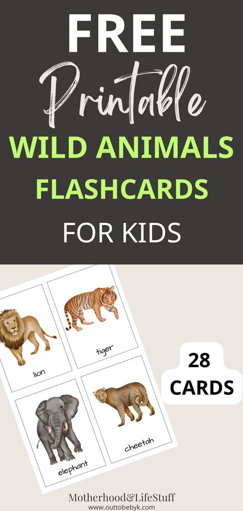 wild animals flashcards Zoo Animal Flashcards Free Printable, Free Jungle Animal Printables, Animal Cards Printable, Free Vocabulary Printables, Free Safari Animal Printables, Wild Animal Activities For Preschool, Animal Flashcards Printable Free, Animal Printables For Kids, Wild Animals Preschool Activities