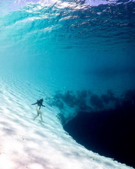 Underwater Photography, Scary Ocean, Guadalupe Island, Goddess Sculpture, Fear Of The Unknown, Learn To Swim, Ocean Water, Deep Water, Cthulhu