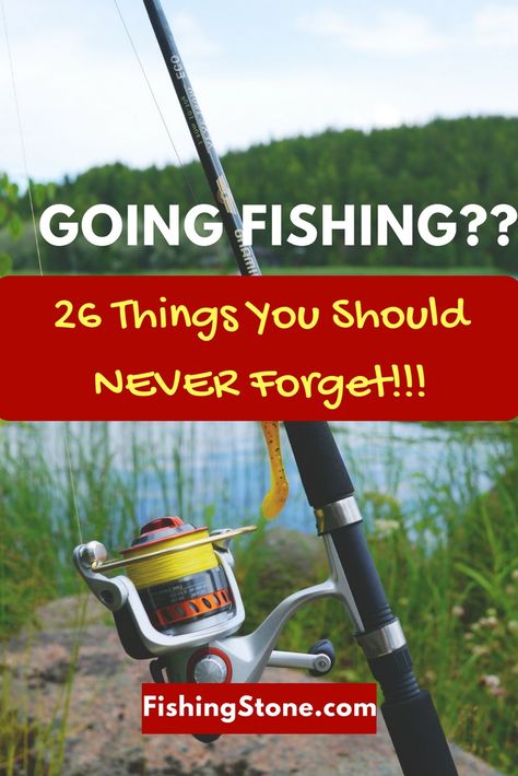Going fishing can be a fun experience for everyone involved.  You can spend the day at the water trying to catch some fish.  On this article, we discuss the thing that you should NOT forget to bring when going fishing.  It really it depends on what exactly it was that you forgot when you decided to go fishing. Fishing Must Haves, Kayak Fishing Accessories, Fresh Water Fishing, Fish Information, Fishing For Beginners, Fishing Kayak, Fishing Techniques, Fish Finder, Freshwater Fishing