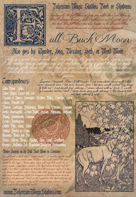 Full Buck Moon Book of Shadows PRINTABLE February Magick, Moon Book Of Shadows, Full Buck Moon, Moon Capricorn, Buck Moon, Witch Grimoire, Witchcraft Quotes, Divination Witch, Mother Moon