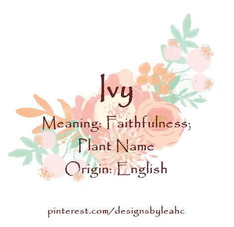 Baby Girl Name: Ivy. Meaning: Faithfulness; Plant Name. Origin: English. Ivy Name Meaning, Ivy Meaning, Original Baby Names, Ivy Name, Girls Names Vintage, Meaningful Baby Names, Southern Baby Names, Boy Girl Names