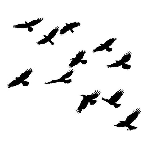 Crows Flying Silhouette, Silhouette Birds Flying, Crows Flying Drawing, Black Bird Silhouette, Bird Flying Top View, Flying Crow Silhouette, Bird Flying Silhouette, Birds Silhouette Flying, Crows Silhouette