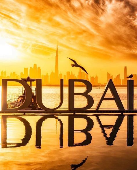 Credits @dubai.travelers Dubai Hotels, Dubai Frame, Dubai Tourism, Luxury Dubai, Dubai Airport, Dubai Lifestyle, Visit Dubai, Dubai Hotel, Dubai City