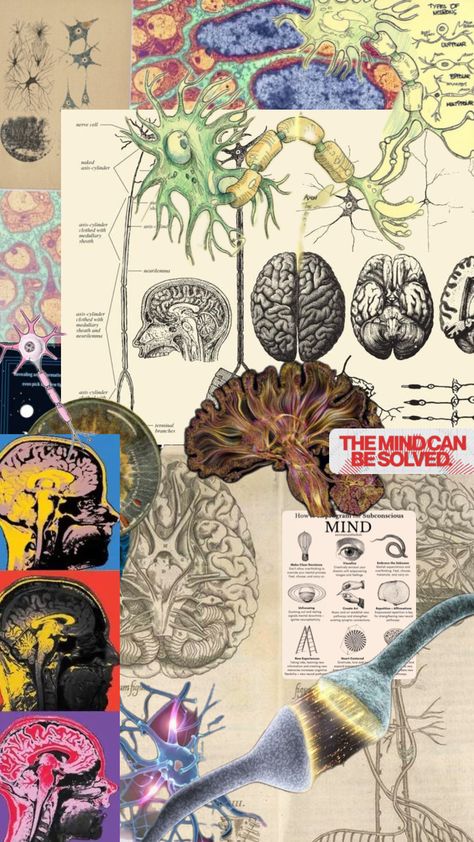 #neuroscience #science #brain #psychologyaesthetic Neuroscience Art, Academia Aesthetic Wallpaper, Psychology Posters, College Vision Board, Psychology Notes, Study Biology, Cognitive Psychology, Medical Wallpaper, Brain Anatomy