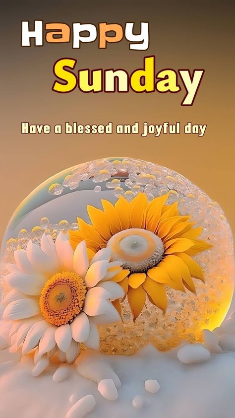 Happy Sunday! May the sunshine radiate from within you today! 🌞 Sunday Quotes Good Morning, Sunday Good Morning Quotes, Happy Blessed Sunday, Sunday Wallpaper, Happy Sunday Flowers, Happy Sunday Messages, Blessed Sunday Morning, Sunday Morning Wishes, Sunday Good Morning