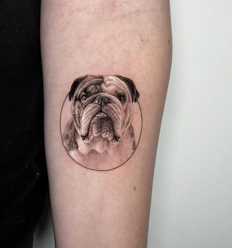 Minimalist Bulldog Tattoo, English Bulldog Tattoos, Small Bulldog Tattoo, Old English Bulldog Tattoo, British Bulldog Tattoo, Dog Tattoo Realistic, Tattoo With Frame, Bulldog Tattoo Ideas, English Bulldog Tattoo