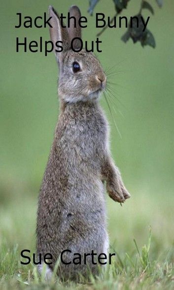 Rabbit Burrow, Owl Sounds, Wild Bunny, Female Rabbit, Rabbit Pictures, Rabbit Colors, Rabbit Drawing, Rabbit Cages, Wild Rabbit