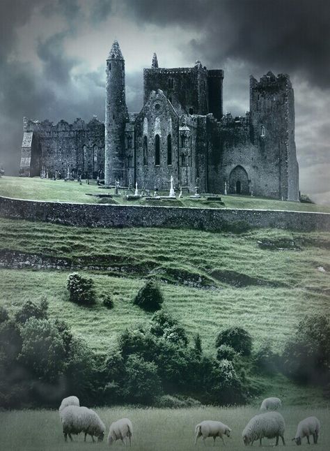 Irish Gothic Castle. Ireland Travel, Cashel Ireland, Rock Of Cashel, Castles In Ireland, Real Estat, Beautiful Castles, Medieval Castle, Pretty Places, Oh The Places Youll Go