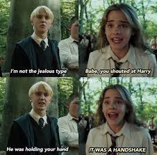 Meme Harry Potter, Fanfiction Stories, Harry Potter Mems, Draco And Hermione Fanfiction, Glume Harry Potter, Harry Porter, Funny Harry Potter Jokes, Harry Potter Feels, Harry Potter Puns